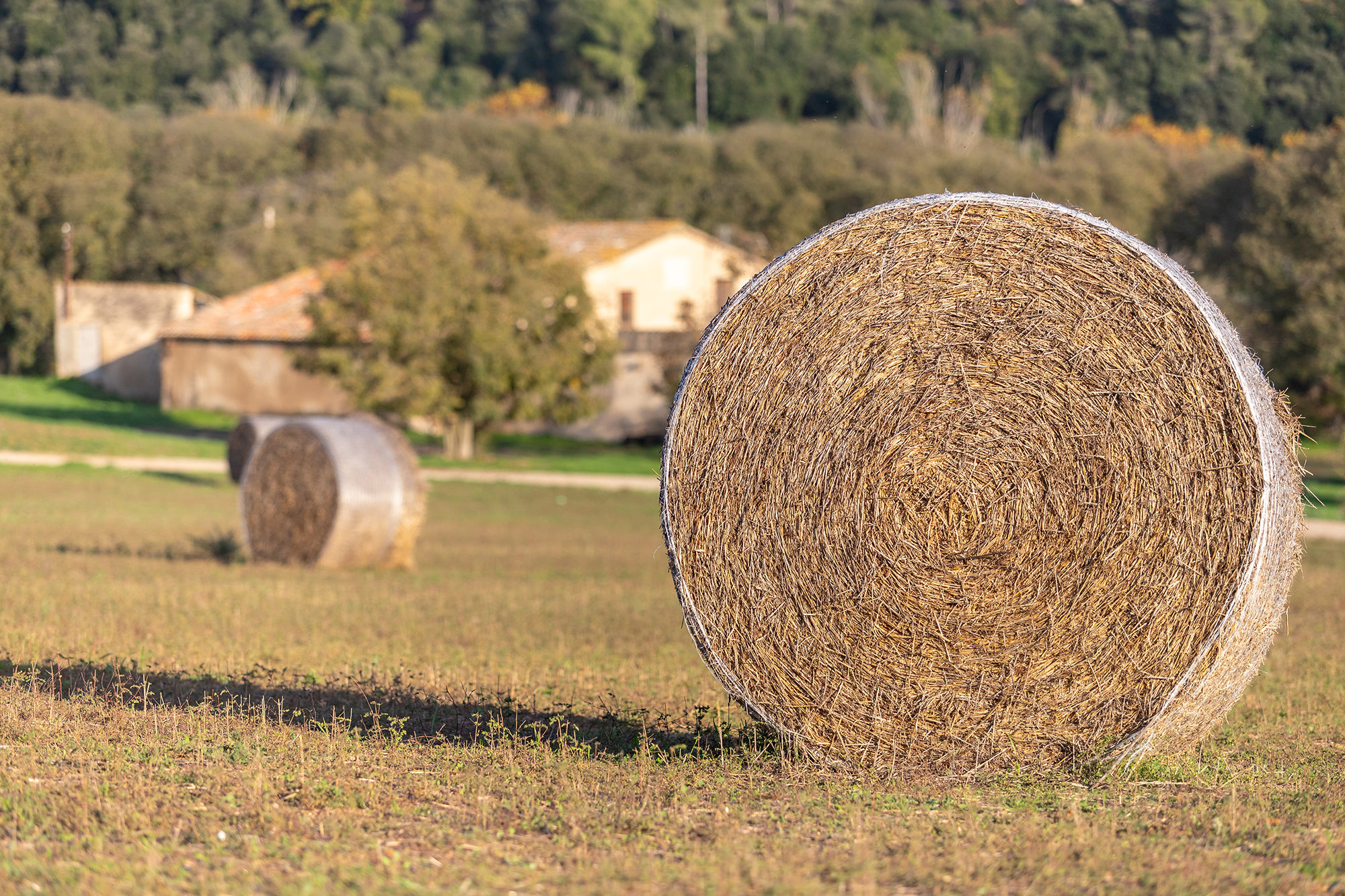 Imatge pels mitjans: Consell de la Pagesia