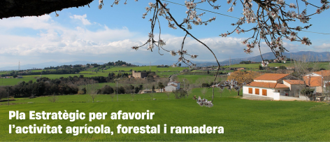 Imatge pels mitjans: Pla estratègic de l’activitat agrària de les Franqueses del Vallès